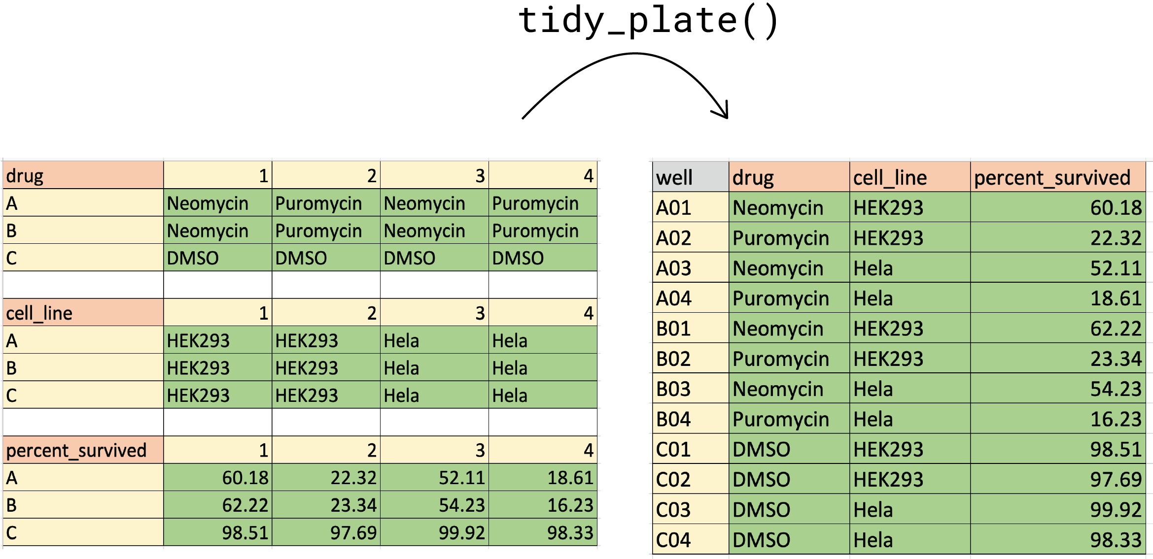 This figure demonstrates how to format the 12-well plate input file. Colors are for visualization purposes only.